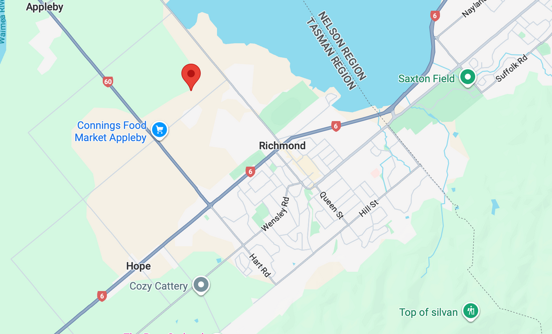 Padel Centre in Nelson New Zealand