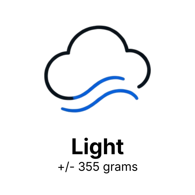 A simple icon of a cloud with blue wavy lines above the text 'Light +/- 355 grams' on a plain white background.