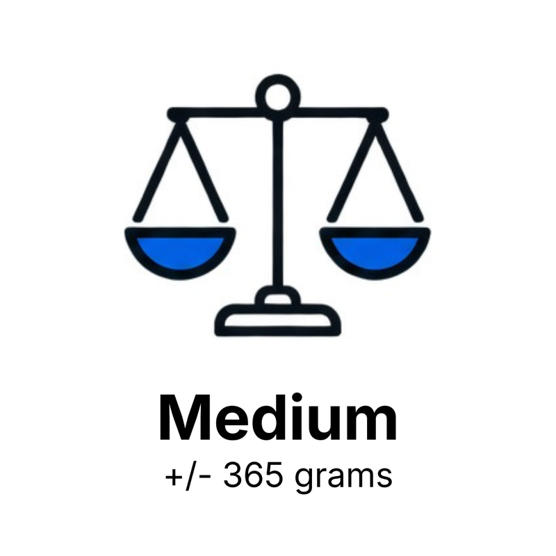 A simple line icon of a balance scale with blue filled pans above the word 'Medium' and the text '+/- 365 grams' on a plain white background.